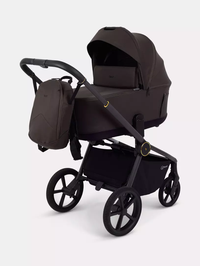 Коляска детская Rant Flex Soft Therm 2 в 1 