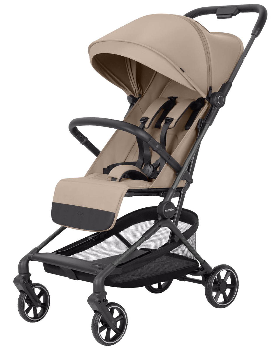 Коляска прогулочная CARRELLO  Evo CRL-5533